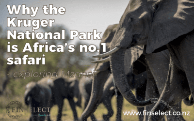 Why the Kruger National Park is Africa’s best safari: touring Mzansi